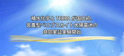 積水化学とTERRAが国内初、営農型ペロブスカイト太陽電池の共同実証実験開始