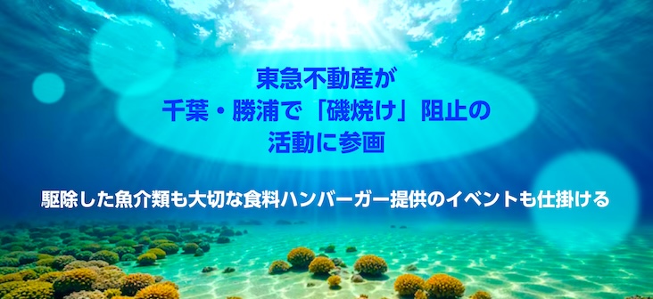 東急不動産が千葉・勝浦で「磯焼け」阻止の活動に参画
