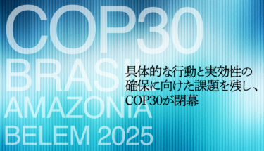 top_titale2512_SP_01